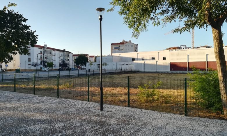 Parque para cães já tem vedação parque canino caes IMG 20200902 074937