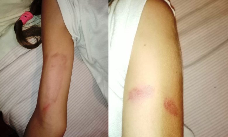 CPCJ investiga caso de violência sobre criança em Tomar viol Bullying 7810308062 1880841060659866105 n