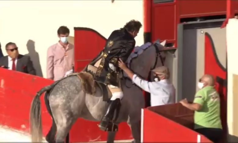 Dor ciática obriga Rui Salvador a abandonar corrida de toiros (c/ vídeo) rui salvador 6789