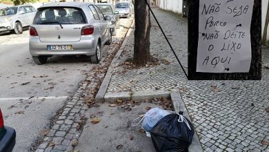 IMG 20201118 141942
