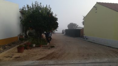 IMG 20201128 082612