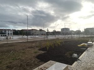 Varzea Grande IMG 20201129 092013