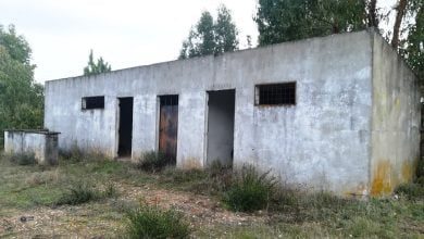 asseiceira campo IMG 20201115 091248
