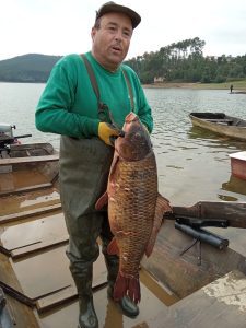 pesca peixe 8127 6413073145017444626 o