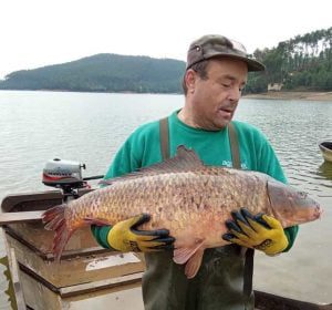 pesca peixe 812 01744462o 1