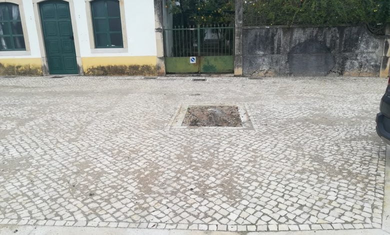 Uma árvore em frente ao portão? IMG 20201221 135303