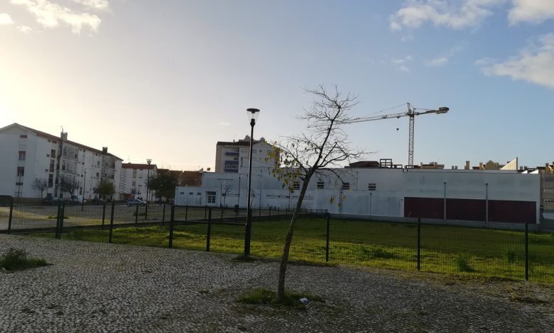 Parque canino: obras paradas há mais de três meses parque canino caes IMG 20201208 083735