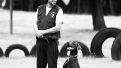 telmo monteiro 2