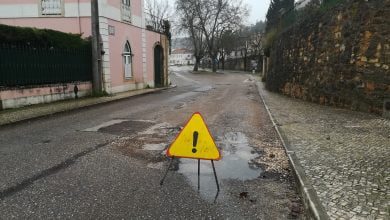 IMG 20210125 104315