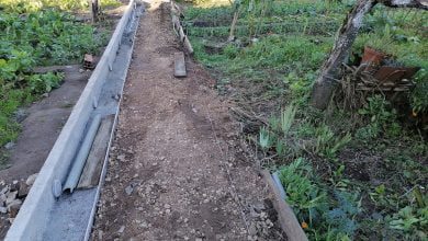 homem horta IMG 20210103 161739