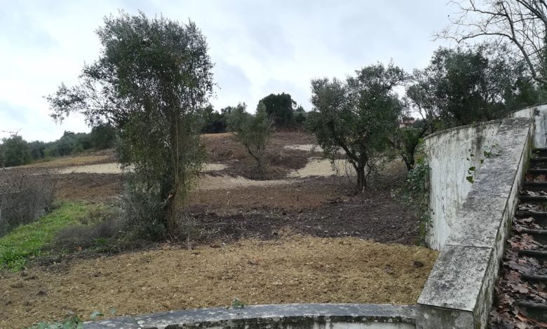 Encosta de Nª Srª da Piedade despida após limpeza de terreno IMG 20210206 103753