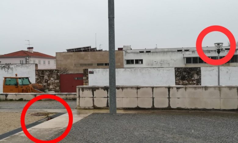 Cidadão alerta para armadilha TNR scaled 1