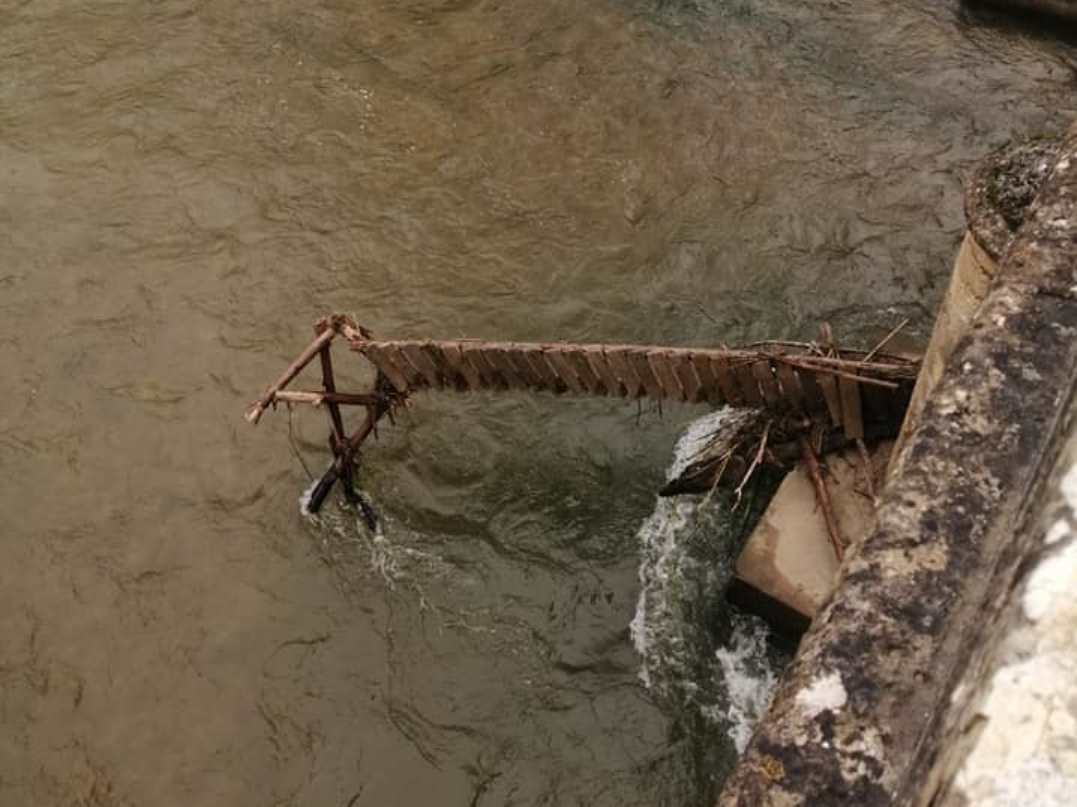ponte lapas 349883 4984822306920724903 n