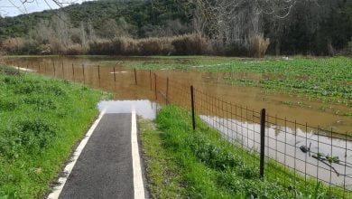 rio passadico 846 2135988933851465374 n