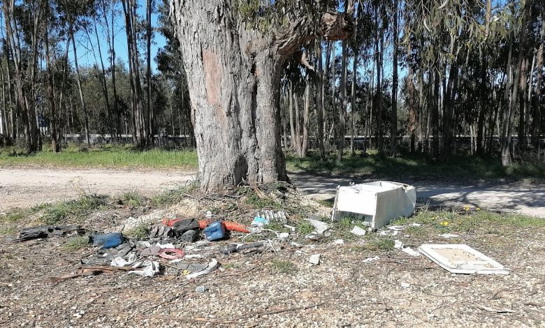 Lixo acumula-se junto à barragem do Carril lixo IMG 20210321 095008