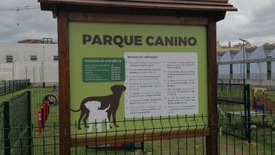 parque canino IMG 20210311 135731