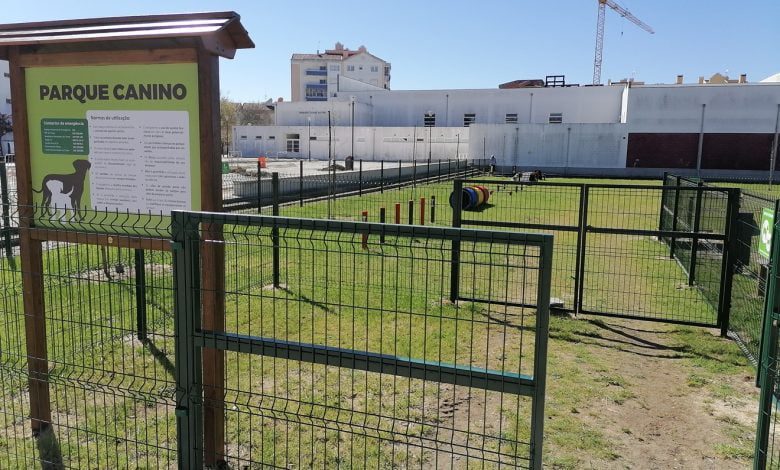 Cadelas envenenadas no parque canino parque canino IMG 20210321 105256