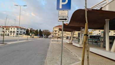 taxis 644890784 4119154509037754005 n