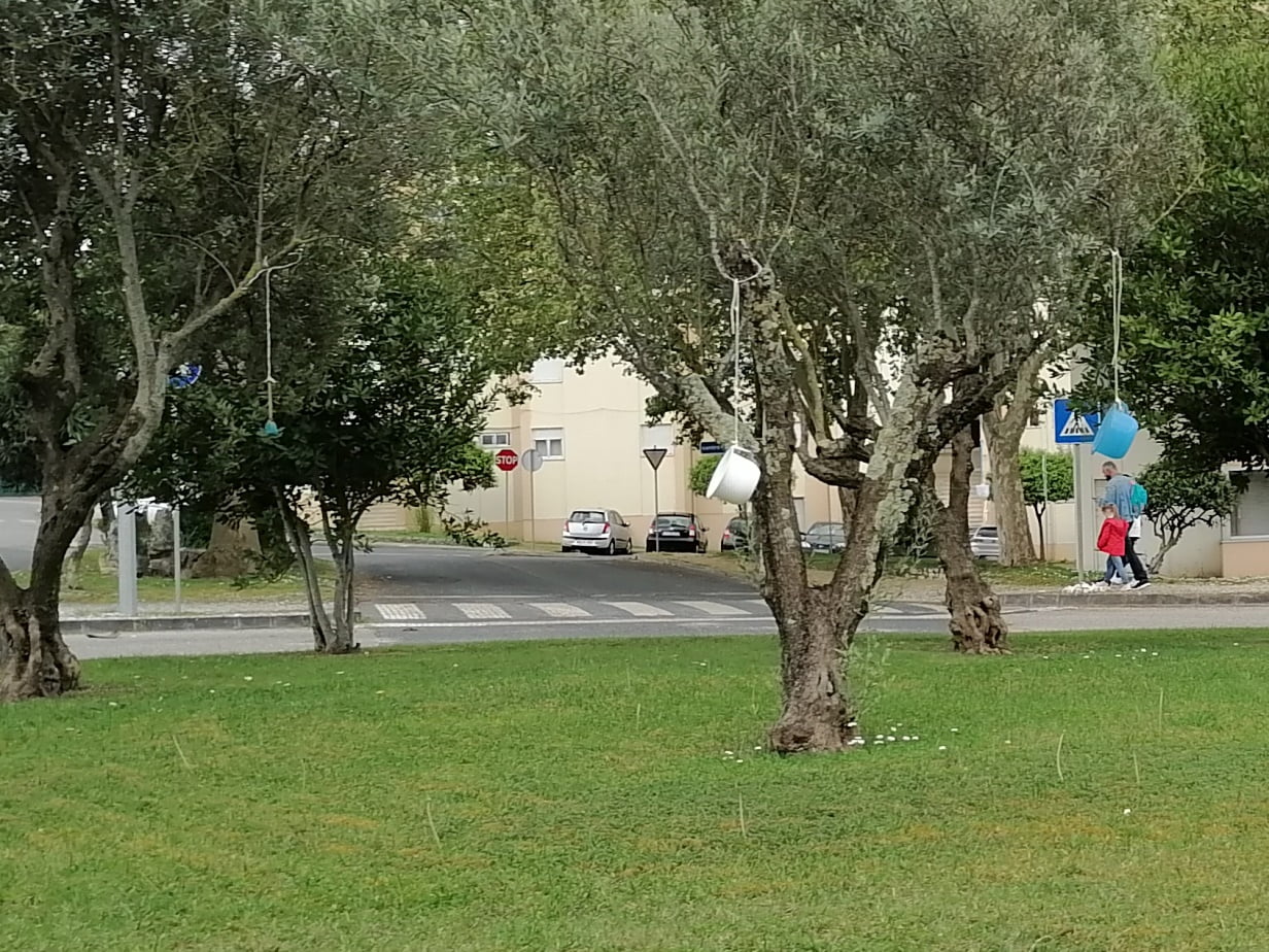 IMG 20210402 152338