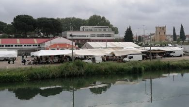 mercado feira IMG 20210409 103139