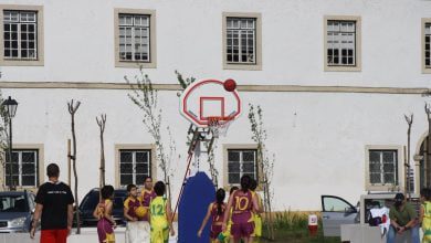 basket 733 2587069445007727971 n
