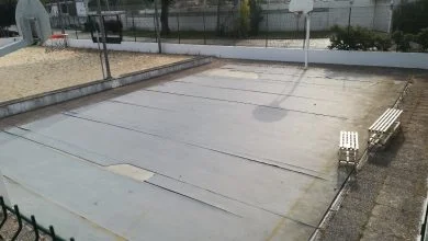 basket IMG 20210612 083303