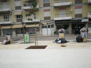 ecopontos 490 2829109043251028373 n