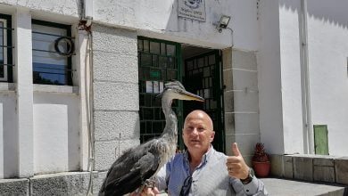 garca americo IMG 20210606 120642