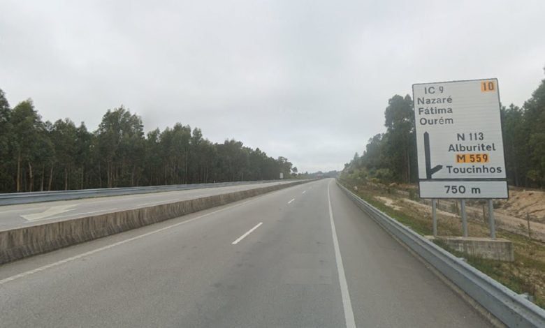 Javali avistado no IC9 ic9 4