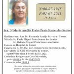 maria amelia santos
