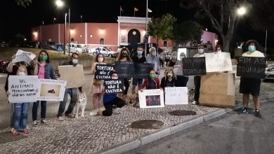 IMG 20210821 221005