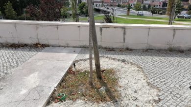 IMG 20210902 153952