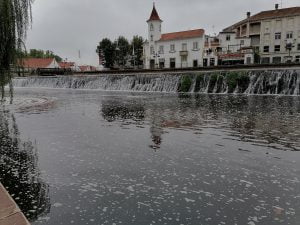 IMG 20210916 095949