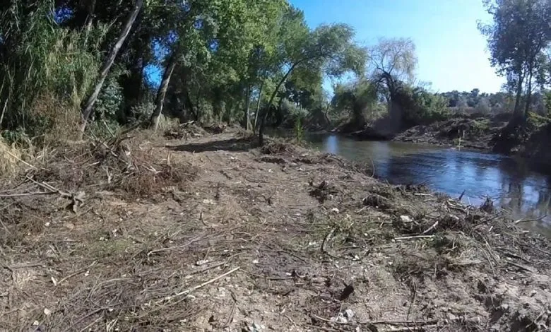 Destruição das margens do Rio Nabão (c/ vídeos) arvores margem rio