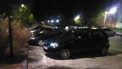 choromela 425 2972535094689331639 n