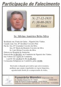 silvino silva