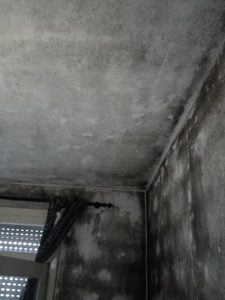 bairro 726358551 1074433062311732213 n