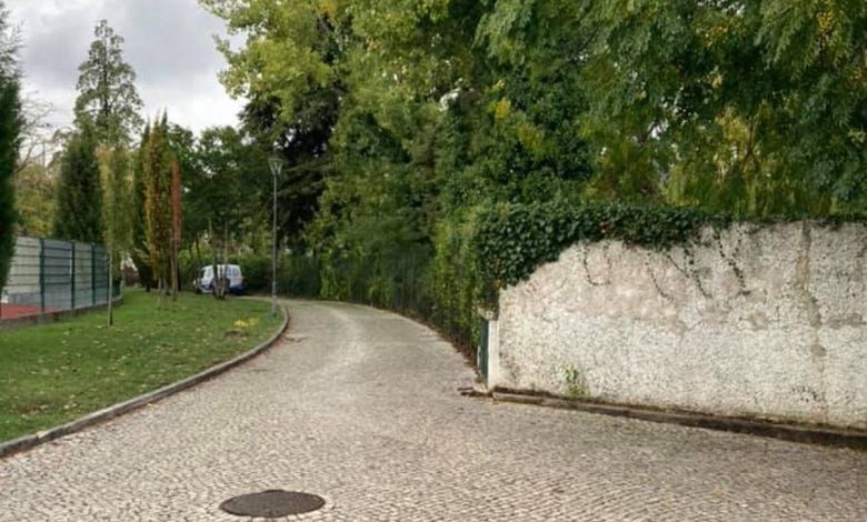Arrancaram polémico sinal de trânsito junto ao estádio estac 2515 1767663053115950369 n