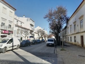 arvores rua dos arcos IMG 20220117 141221