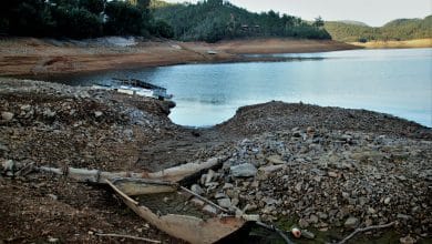 castelo bode agua carlos silva 70183 4265926983755291981 n