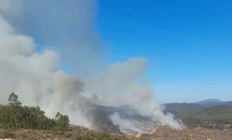 Queimada confundida com incêndio (c/ vídeo) queimada 1429243086760446954 n 1
