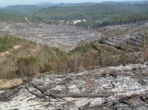 queimada altri depois 768x574 1