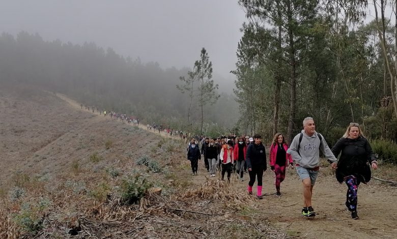 Mais de 250 a caminhar pelos trilhos de Olalhas (c/ fotos e vídeo) olalhas caminhada IMG 20220213 100355