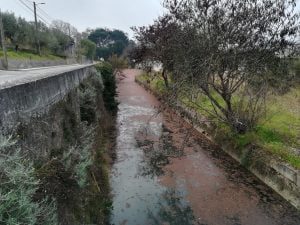 vala da fabrica IMG 20220212 085347