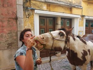 cavalo 62888633 8062742000338834195 n 1