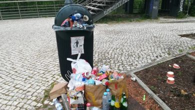 papeleiras lixo IMG 20220417 091352