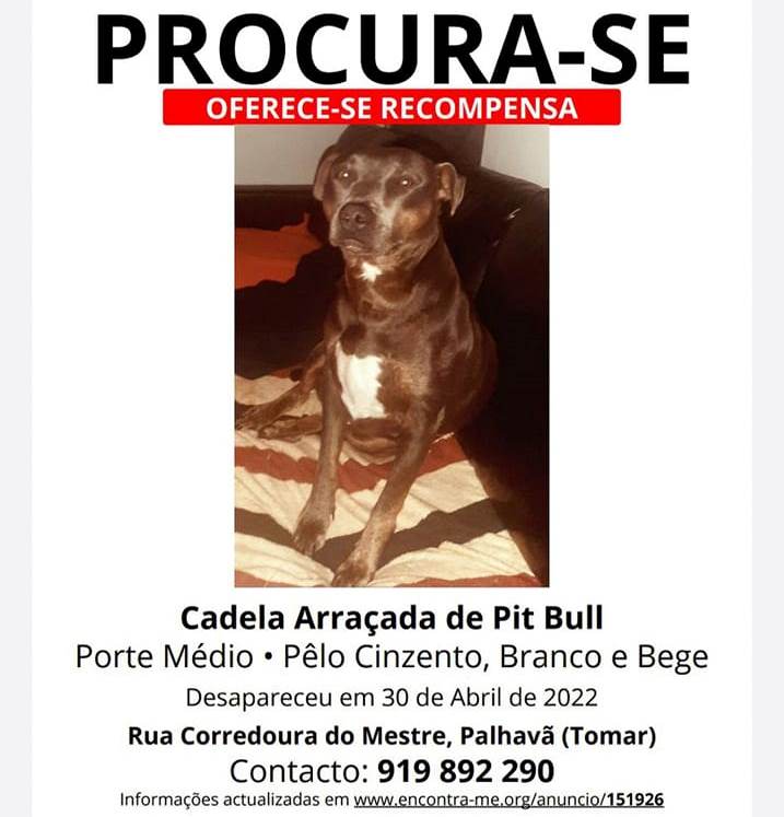 apelo 640614129 8365033825715752478 n