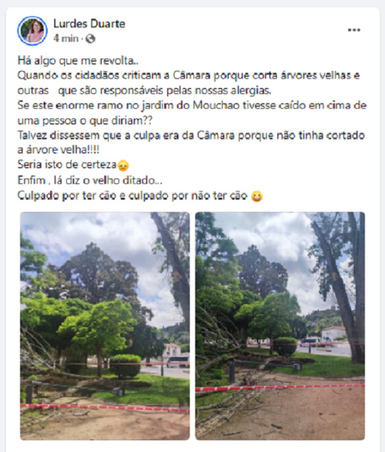 arvore 45678