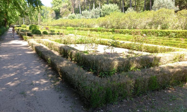 Cidadã alerta para estado do jardim da Mata dos Sete Montes mata 26193699 2091855265130553259 n