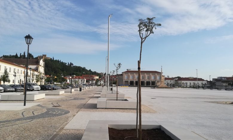 Várzea Grande já tem novas árvores varzea grande IMG 20220514 080535